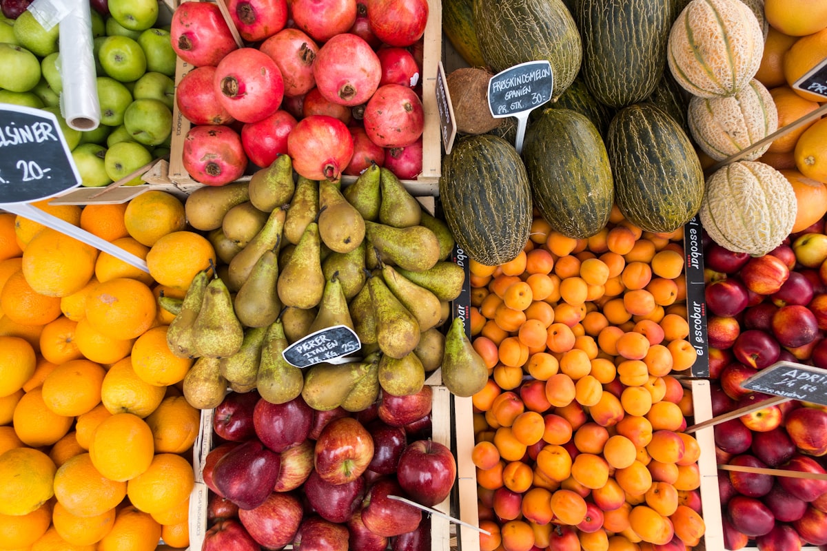 Menu sehat anak sekolah dengan nasi, lauk pauk, sayuran, dan buah